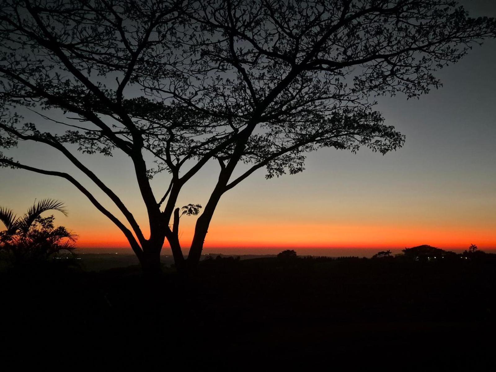 Silverstreams Lodge, Villas & Cottages, Oribi Gorge Glendale Номер фото